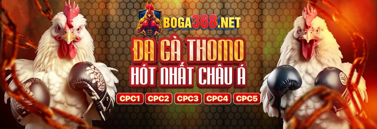 Trải nghiệm N88 App trên di động
